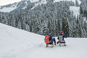 rodelen-in-brixen-im-thale_Kurt Tropper